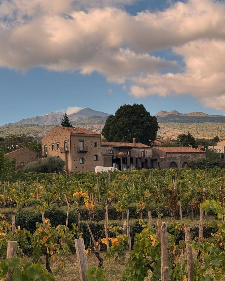 Tenuta Di Fessina